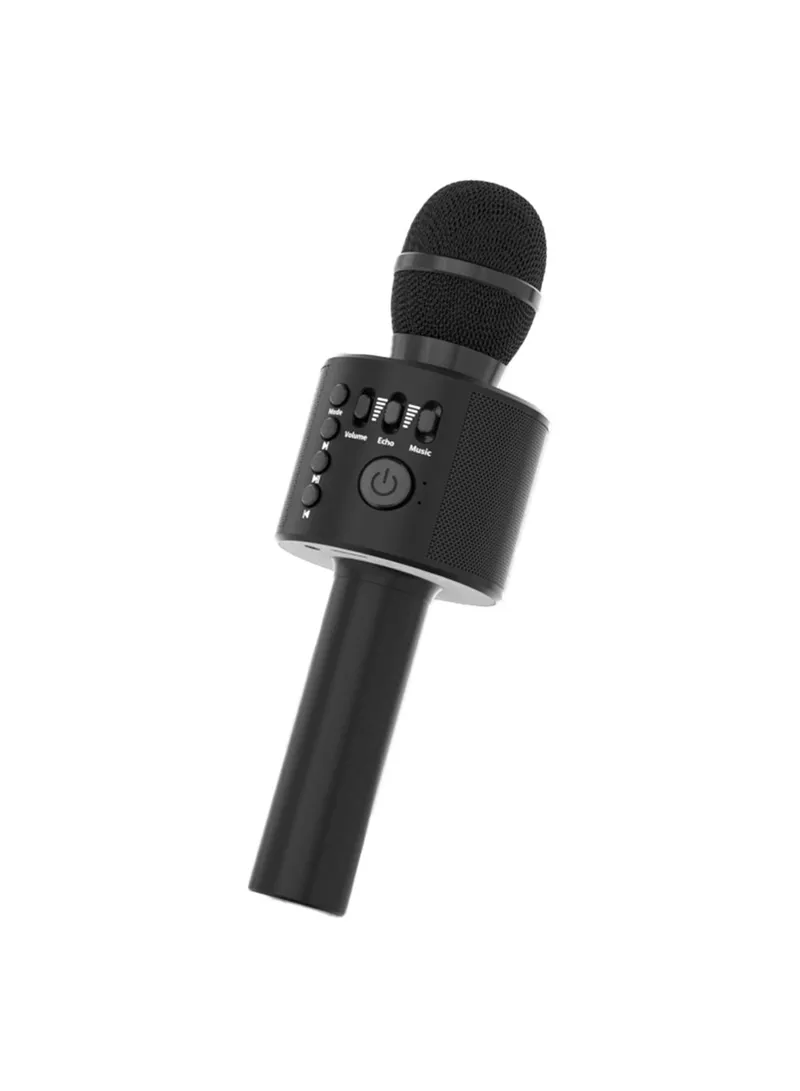 Karaoke Microphone