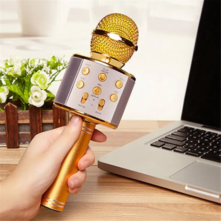 Karaoke Microphone