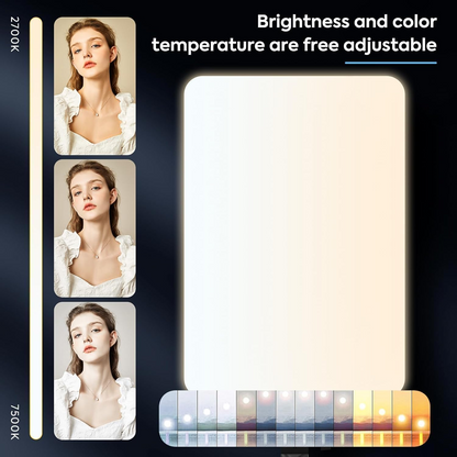 LED Video Professional Photography Fill Light 3 Lighting Modes Kit | RL 19 RL19 | Without Stand with Remote | Ringlight | Studio Lights for YouTube, Game Streaming MakeUp Artist, Social Media